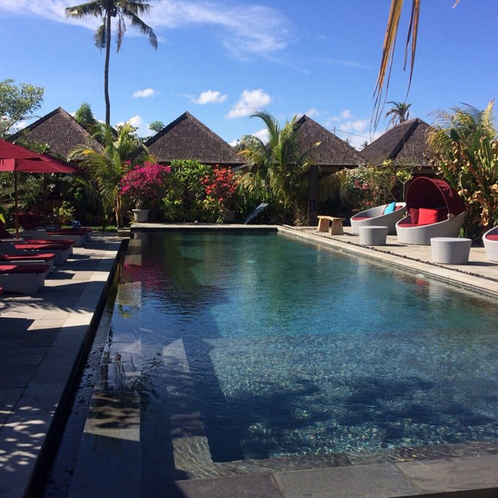 The pool surrounded by palm trees and thatched roofs